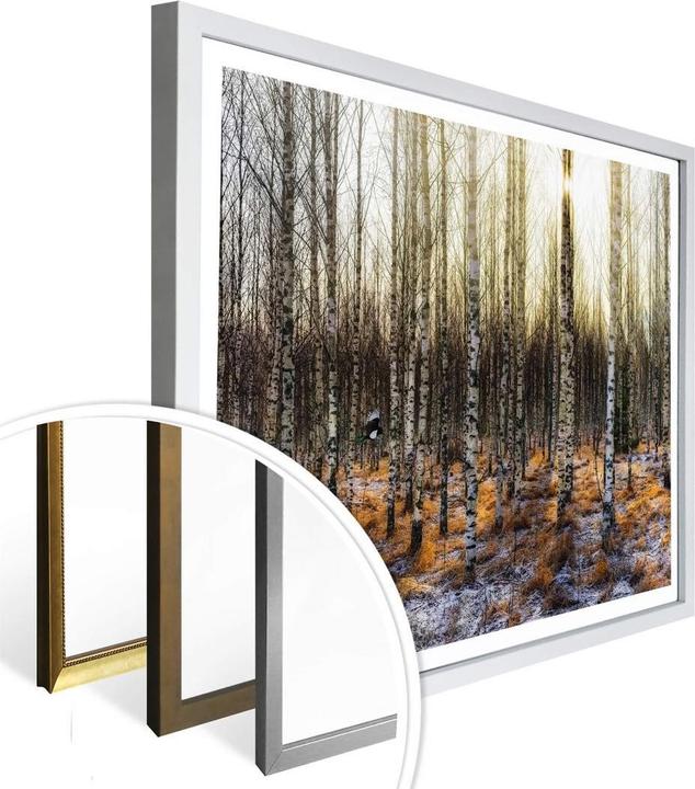 Produktbild Trenddeko Sonnenschein im Birkenwald (30 x 24 cm)