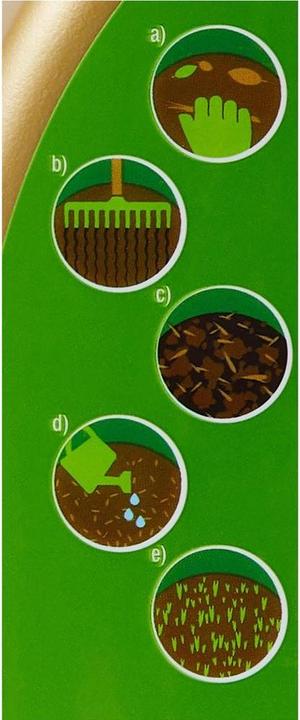 Immagine prodotto Maag Patch Magic (Semi di piante)