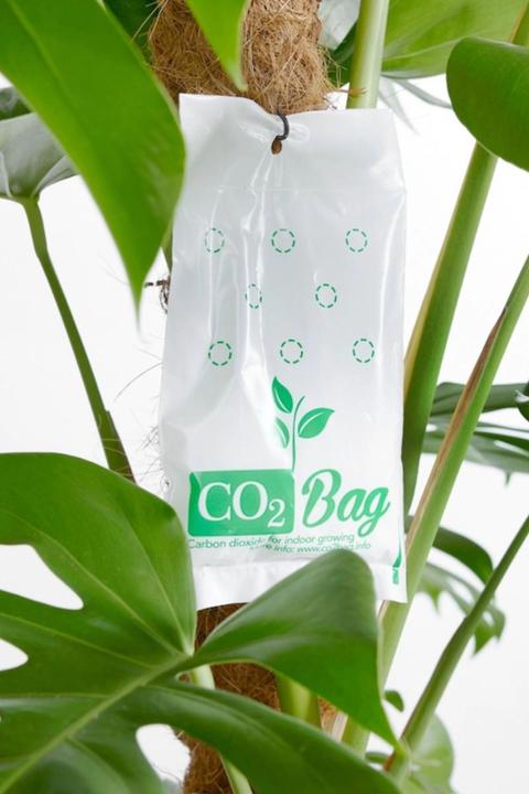 Produktbild CO2 Bag The Bag Grower