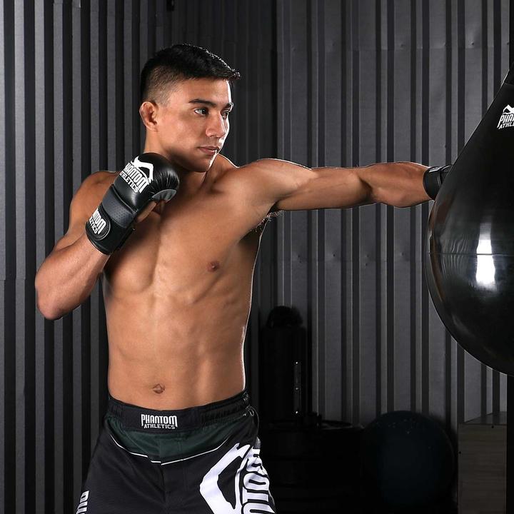 Image du produit Phantom Athletics Gants MMA Sparring (16 OZ, L, XL)