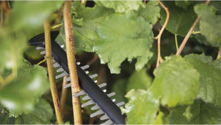Produktbild Bosch Home & Garden UniversalHedgeCut 18V-50 (Akkuheckenschere)