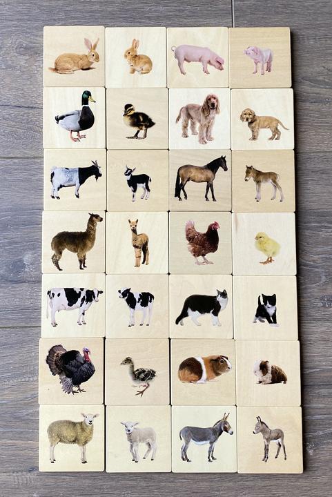 Produktbild TickiT Haustier Bildpaare-Spiel (Memo) aus Holz (28 Teile) (Französisch, Deutsch, Englisch, Italienisch)