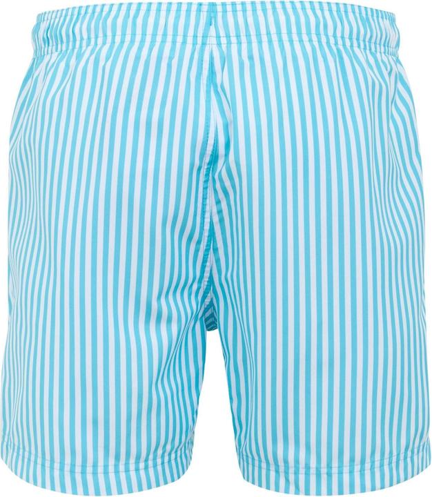 Actual product image Regatta Mens Loras Striped Swim Shorts (XXL)