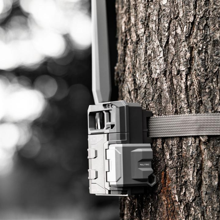 Actual product image Spypoint LM2