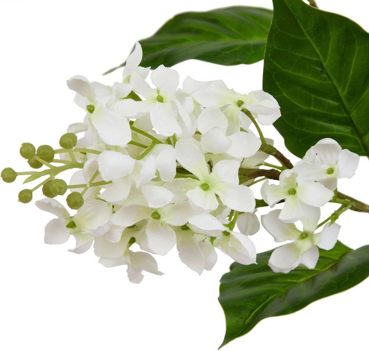 Immagine prodotto Hill Interiors The Natural Garden Collection Lilla Bianco Fiore Artificiale (30 cm)