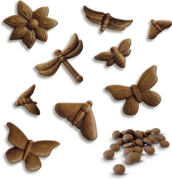 Image du produit Ses Papillons en chocolat