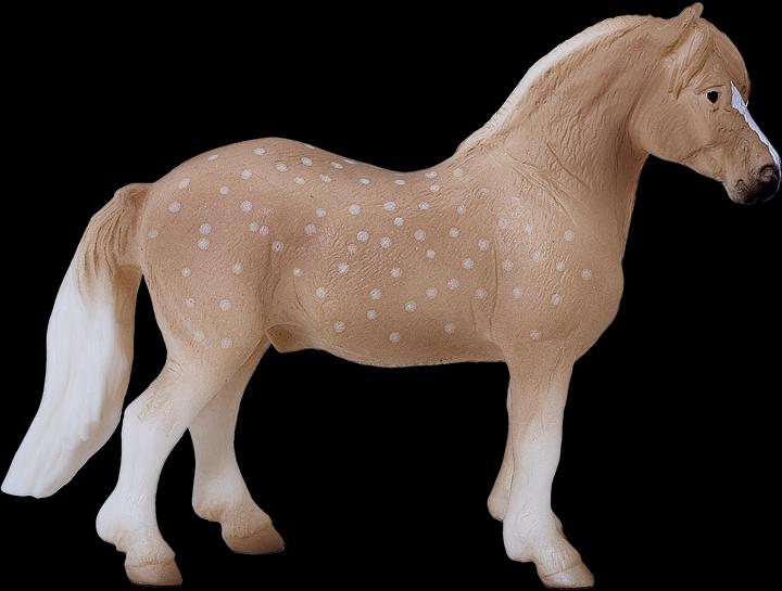 Image du produit Mojo Welsh poney