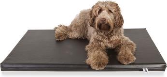 Actual product image Bia Matras Ligbed Zwart (Dog)