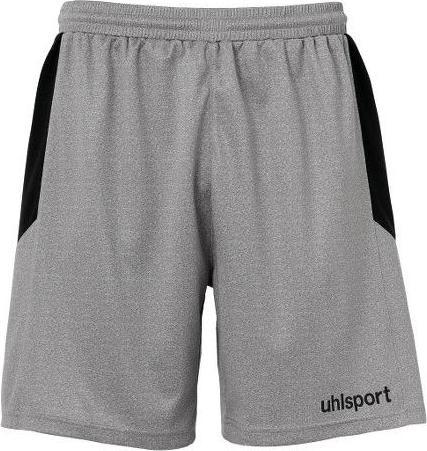 Actual product image Uhlsport Goal (L)