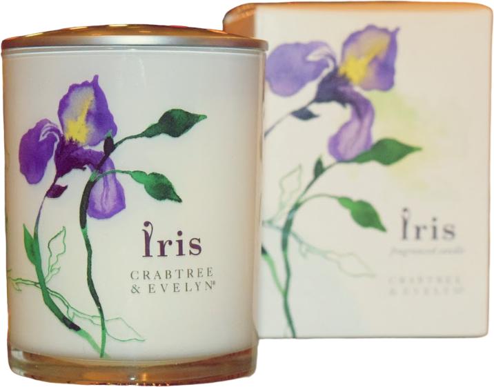 Balmain Iris Pour Candle