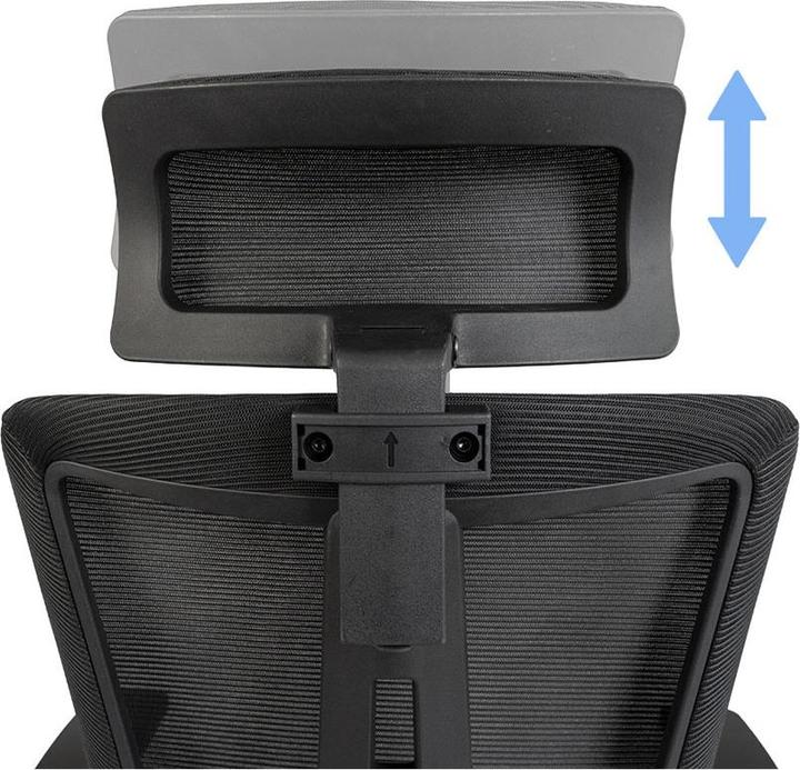 Actual product image Contini Bürostuhl ErgoFlex schwarz