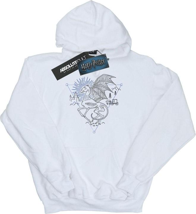 Image du produit - Sweat à capuche THESTRAL LINE ART - Homme (S)