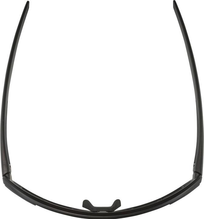 Immagine prodotto ALPINA SPORTS Bonfire Q-Lite (Nero opaco, Argento)