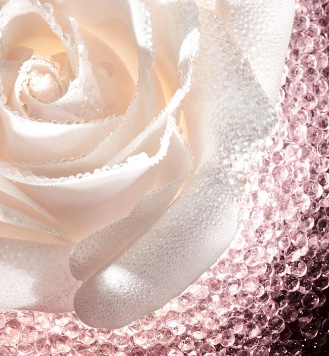 Image du produit Dior Micro Caviar Rose Jar (75 ml, Crème de jour)