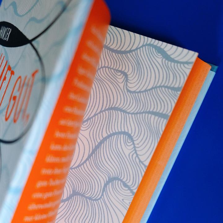 Image du produit Dormez bien, vilaines pensées (Allemand, John Green, 2017)