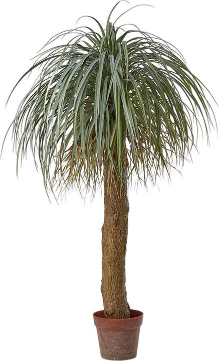 Edg Kunstpflanze Palme Yucca H (150 cm)