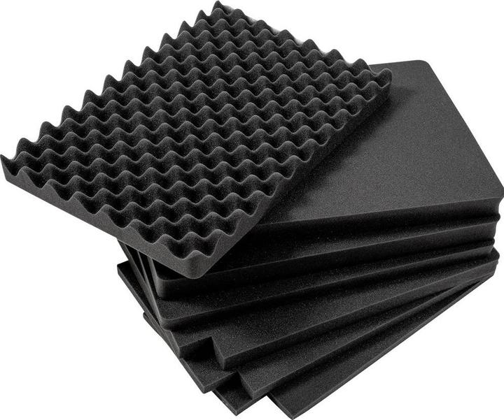 Actual product image B+W Foam insert SI for type 6700 (Photo case)