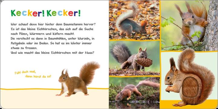 Produktbild Hör mal rein, wer kann das sein? – Tiere im Herbst (Deutsch)