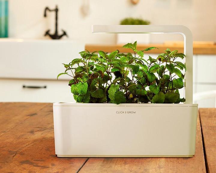 Image du produit Click and Grow Mélisse (Graines d'herbes aromatiques)
