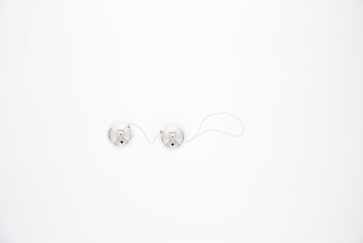 Immagine prodotto Seven Creations Vibratone Duo Balls Argento Blister