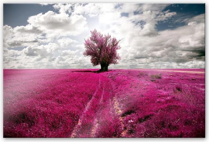 Image du produit Trenddeko L'arbre solitaire (150 x 100 cm)