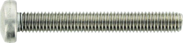 Actual product image OK-Line Flachkopfschr. TX20, A2, M4x30 (500 Screws per piece)
