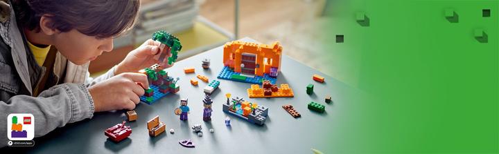 Actual product image LEGO The pumpkin farm (21248, LEGO Minecraft)