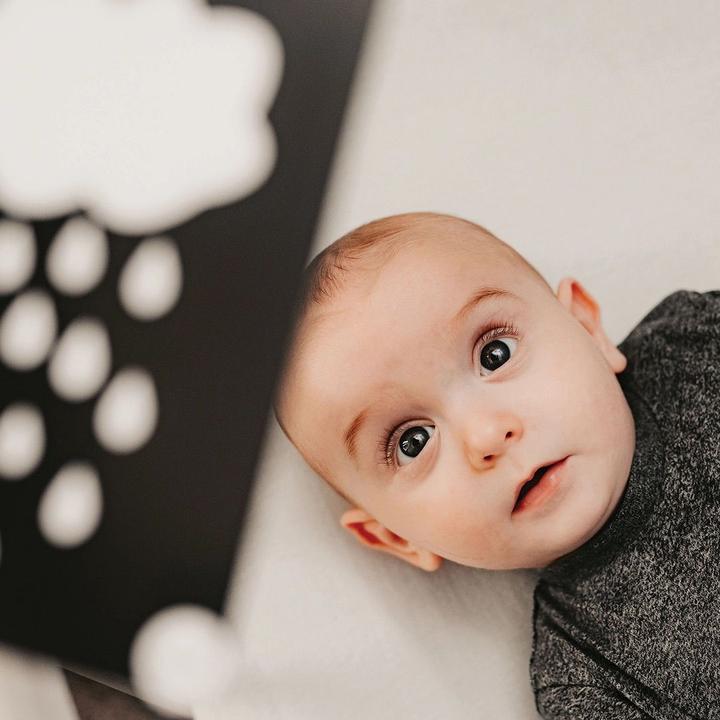 Actual product image Priya & Peanut Newborn Sensory Cards 0+, Award-Winning Baby Toy