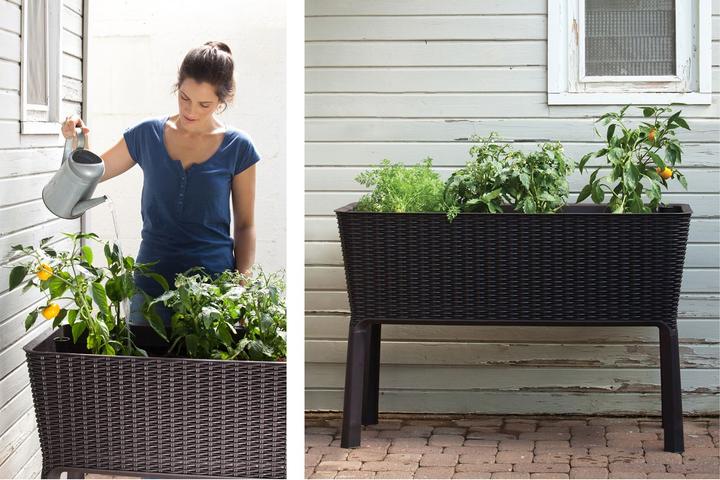 Immagine prodotto Keter Easy Growing