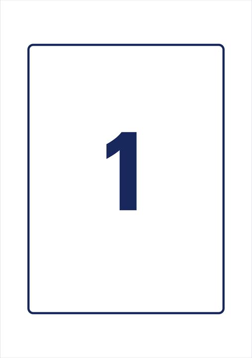Actual product image Avery Carrier labels