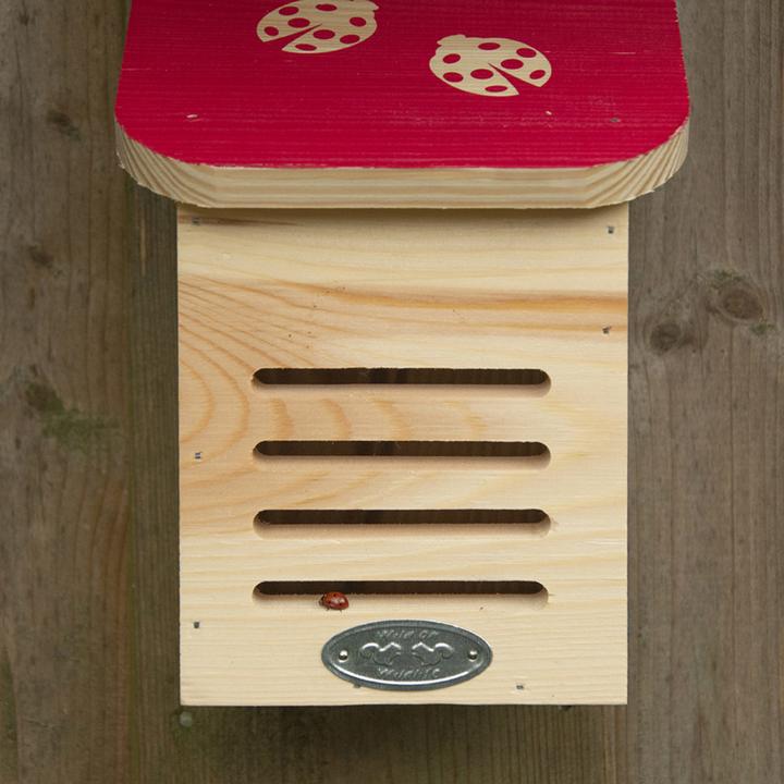 Actual product image Esschert Design Ladybird house (Ladybirds)