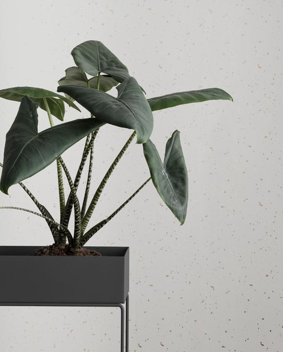 Image du produit Ferm Living Boîte à plantes
