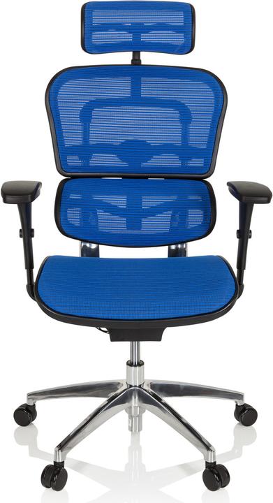 Actual product image Hjh Office Ergohuman Edition