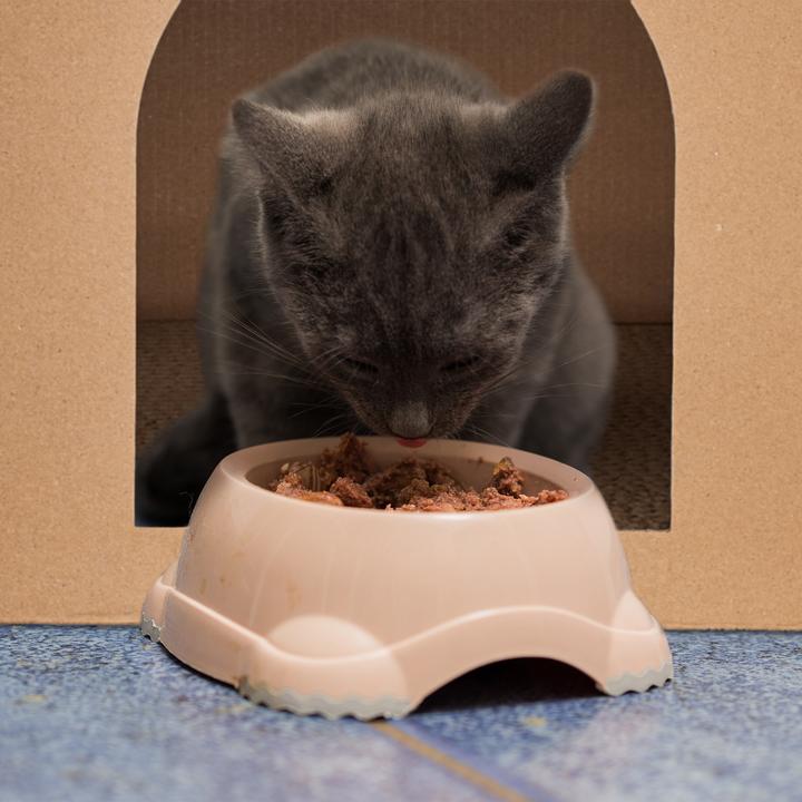 Produktbild Relaxdays Katzenhaus (Katze)