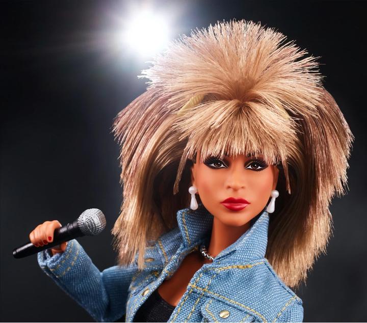 Actual product image Barbie Tina Turner Music Series