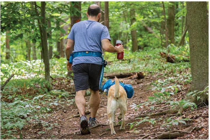 Actual product image Sportdog RSG Sports/Equipment Belt (One size, Dog, Dog sport, General, Pushbike, Jogging)