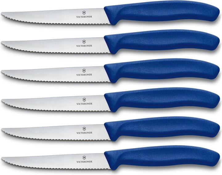 Actual product image Victorinox Steak knife (11 cm)