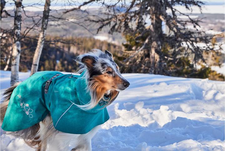 Actual product image Hurtta Monsoon V2 Eco green mackintosh, 70 cm (70, Dog raincoat)
