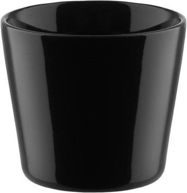 Tonale (80 ml, 1 x)