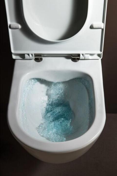 Produktbild Laufen WC-Sitz PRO UNIVERSAL mit Deckel mit Absenkautomatik pergamon