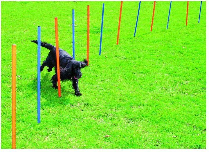 Pawise Agility 12pcs Poles - (636.9000) (Agility)