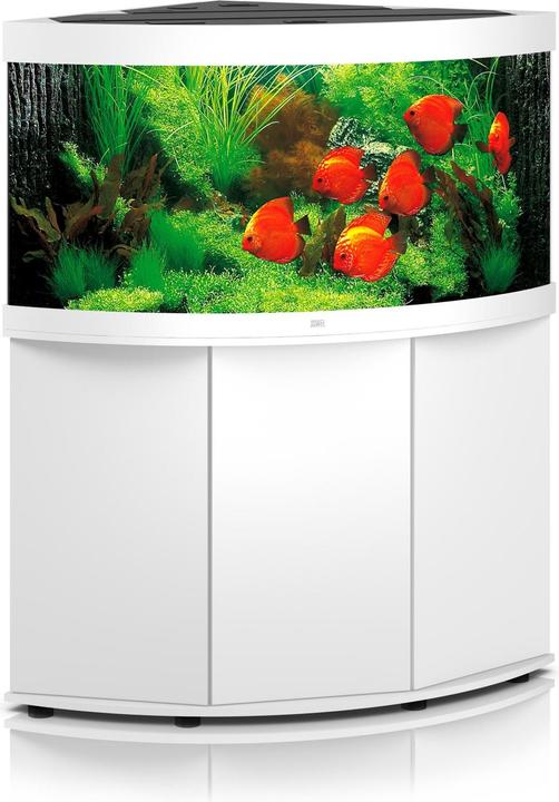 Actual product image Juwel Aquarium Aquarium Trigon 350 123x87x65cm white (350 l)