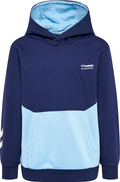 Produktbild hummel hmlEDDY HOODIE (164)