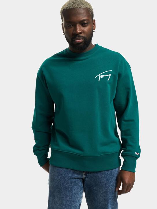 Image du produit Tommy Hilfiger Tommy Jeans Signature Sweater - 97575 (M)