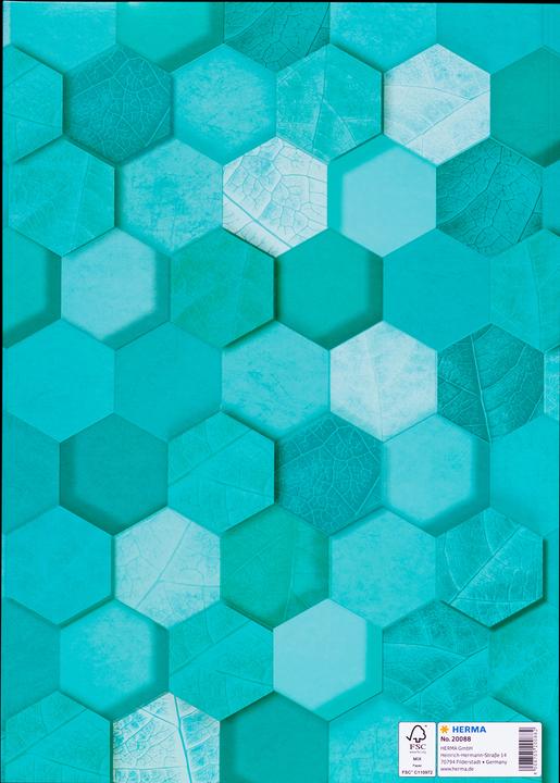 Actual product image HERMA A4 cardboard booklet protector X