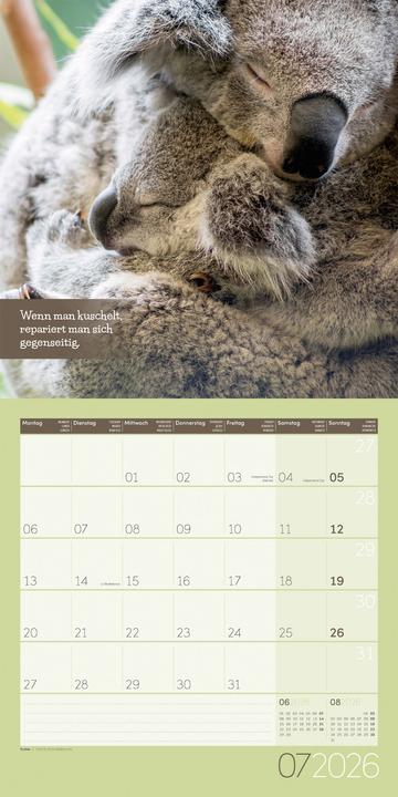 Produktbild Keep Smiling! Kalender 2026 - 30x30 (30 x 30 cm, Deutsch, Englisch, Französisch)