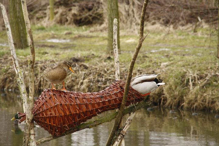 Produktbild Best for Birds Entennest