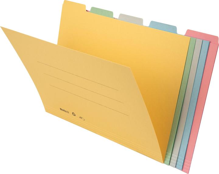 Actual product image Biella register folder (A4, 5 x)