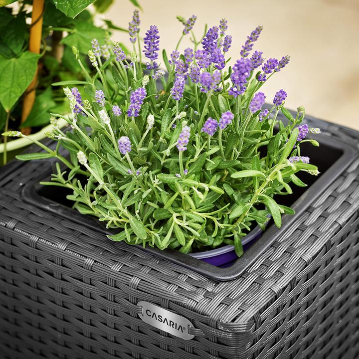 Immagine prodotto Casaria Vaso da fiori (27 cm)