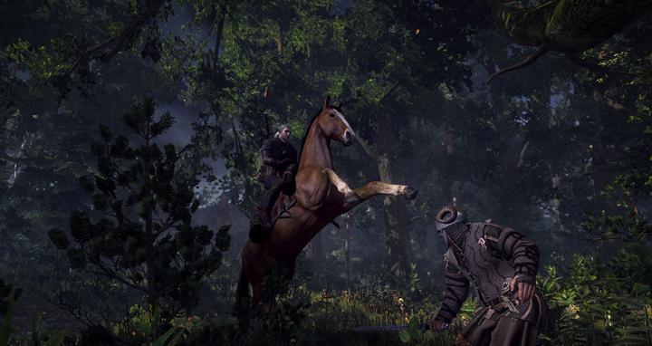 Actual product image Bandai Namco The Witcher III Game of the Year Edition (PS4, EN)